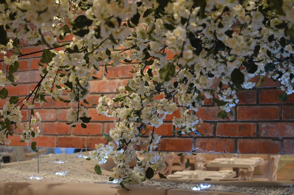Blossom tree. Branches Ponteland.