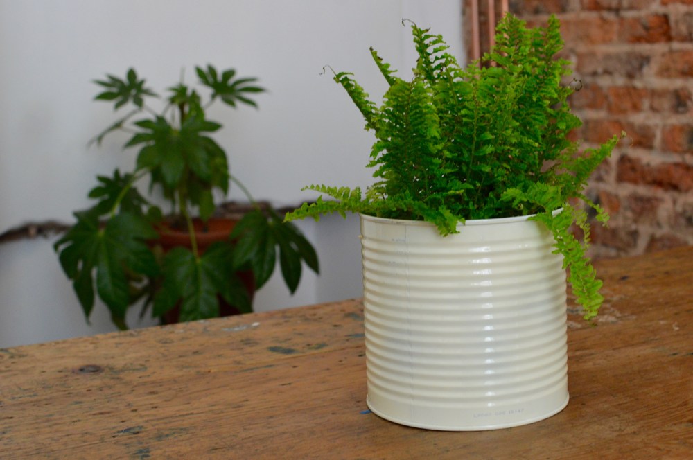 Flat White Kitchen Durham